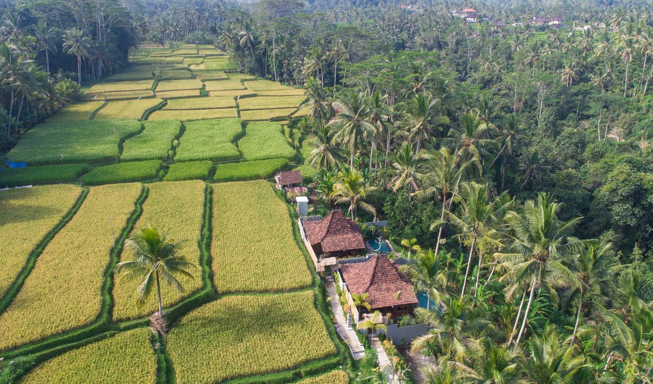 Mandana Ubud Villa 외부 사진